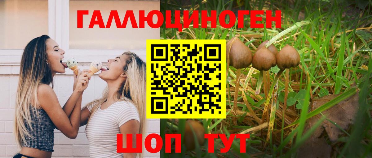 Галлюциногенные грибы мицелий Михайловка